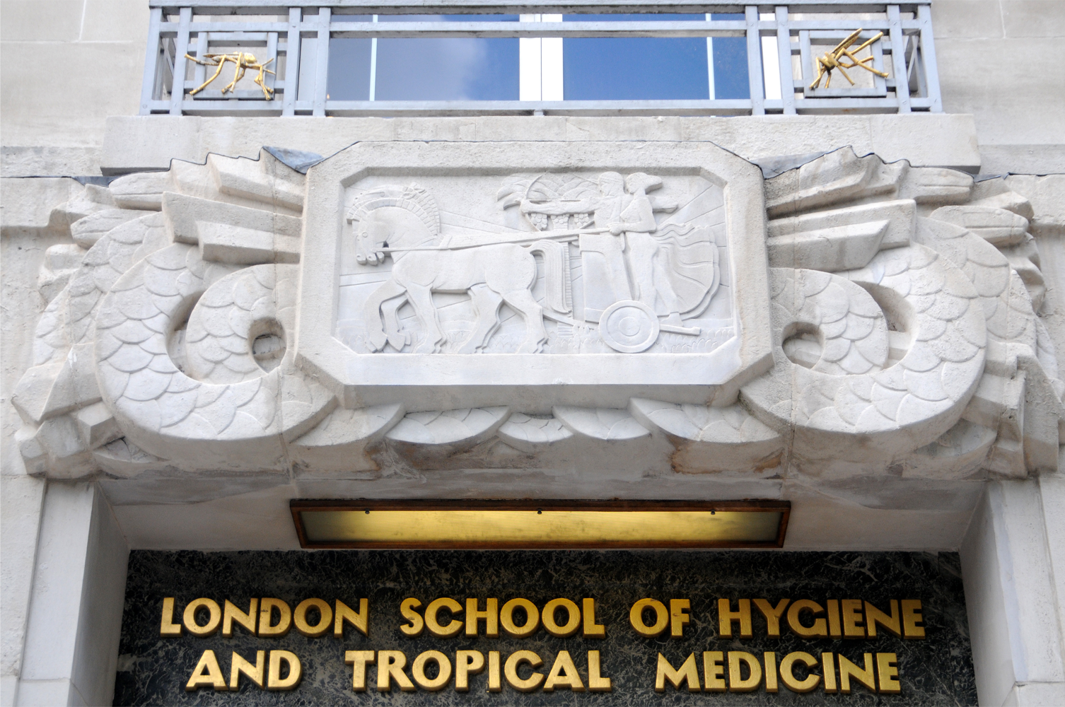 Gilded Vectors Thermal Bottle